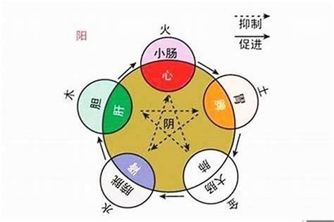 命屬五行|如何知道一個人的五行屬什么